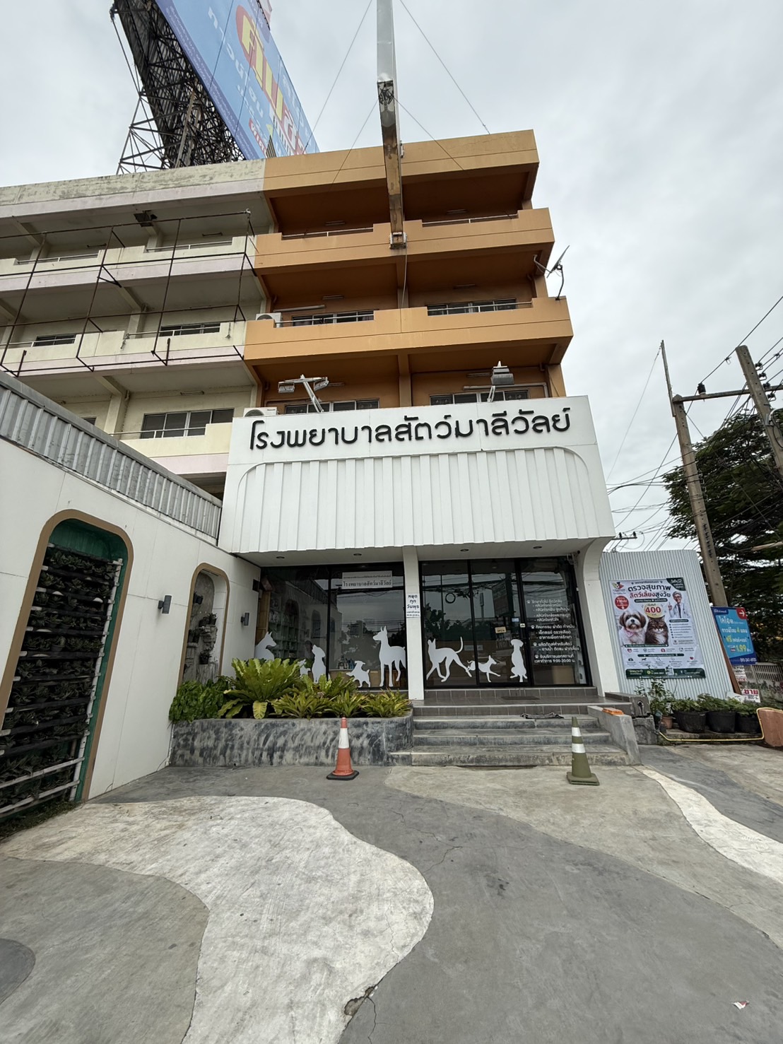 ด้านหน้าโรงพยาบาลสัตว์มาลีวัลย์